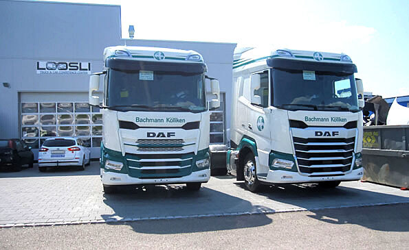 Individuelle Filets und Zierleisten für LKW